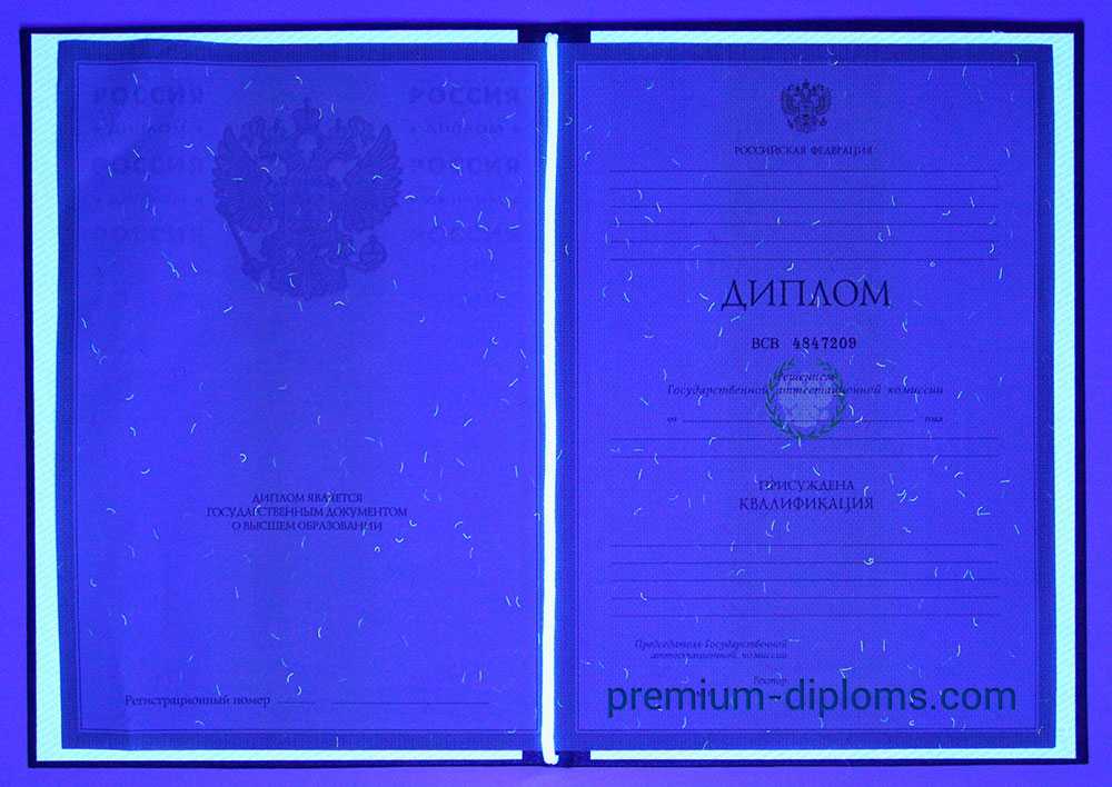 Диплом магистра 2004-2009 год фото